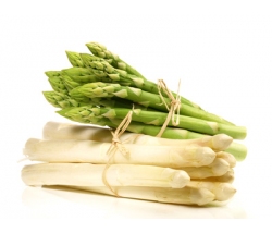<p>Spargel</p>