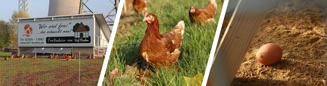 Menkens Hühnermobil